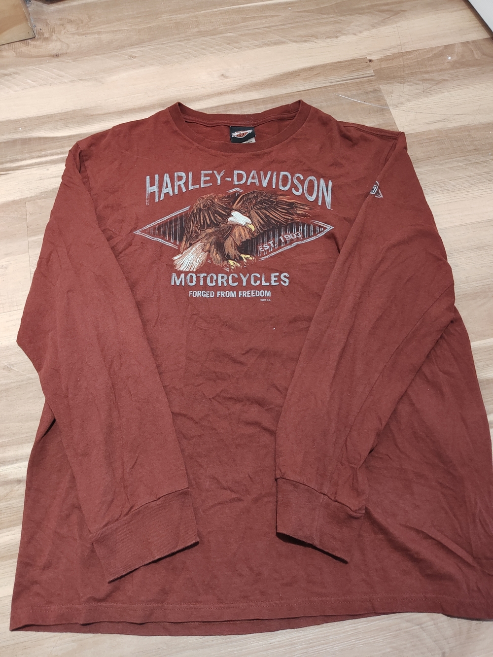 Harley-Davidson Men's Long Sleeve Graphic Tee - Rust